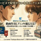 動画配信サービスで配信がないBLアニメを観る方法！
