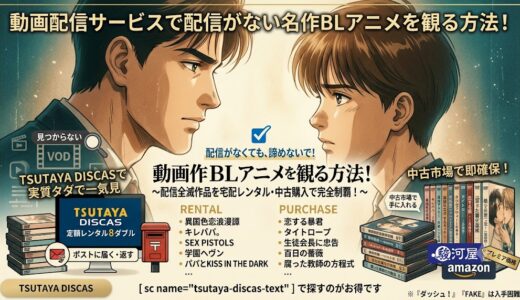 動画配信サービスで配信がないBLアニメを観る方法！